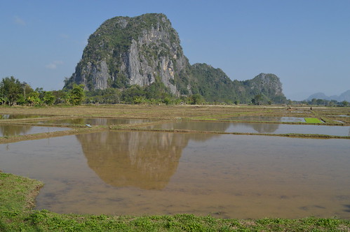 thailand rice paddy hill farming limestone geology agriculture karst chiangrai