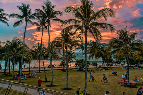 And when the sunset comes. ©® by Aglez the city guy ☺, sunset park southpointepark people coconuttree beach southpoint sobe walking walkingaround waterways