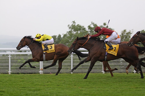 Afsare leads | by Arkle1