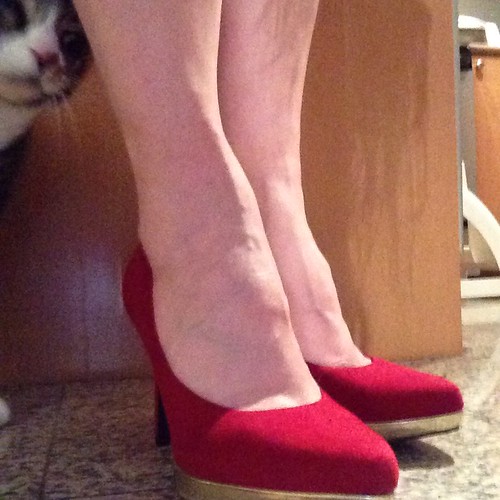 Red shoes and a kitty