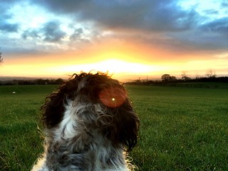 Tess watching the sun come up