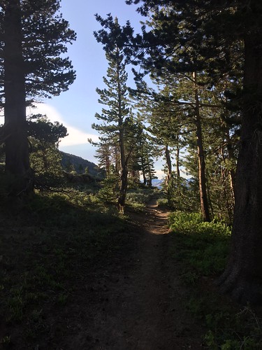 PCT: Day 75