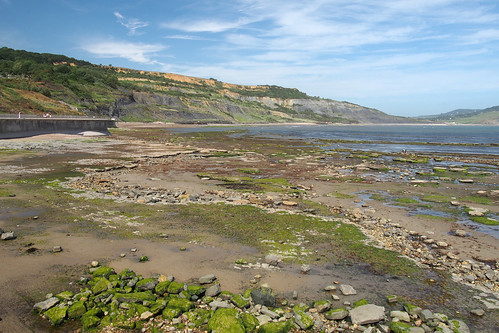 Looking east from Lyme Regis 