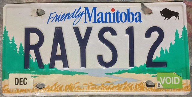 MANITOBA 2010's ---PERSONALIZED PLATE RAYS12