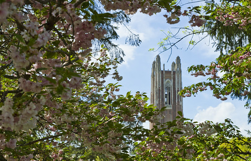 Campus Beauty Spring 2013