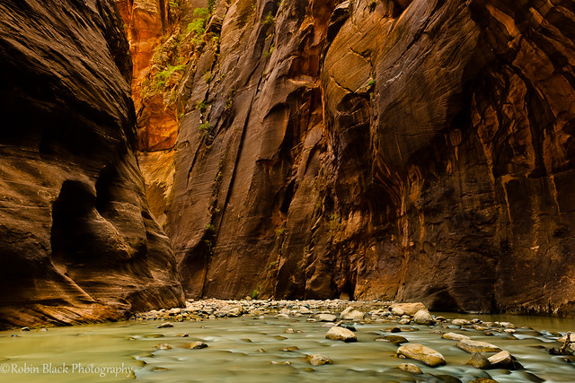 Deep in the Narrows (Zion National Park, UT)