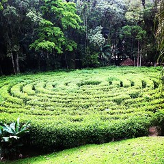 Labirinto em Jaraguá do Sul.