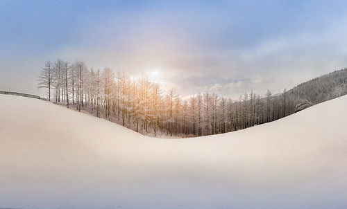 The white snow makes the world very beautiful | by Brandon HM Oh