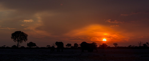 Beautiful Hwange by Thomas Retterath, Sunset at Hwange National Park, Zimbabwe
All rights reserved. © Thomas Retterath 2013africa sunset