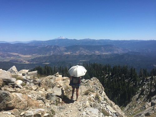 PCT: Day 113