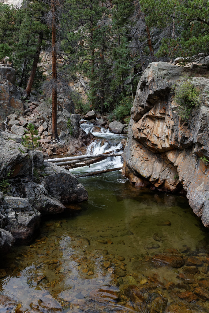 Cub Lake Trail