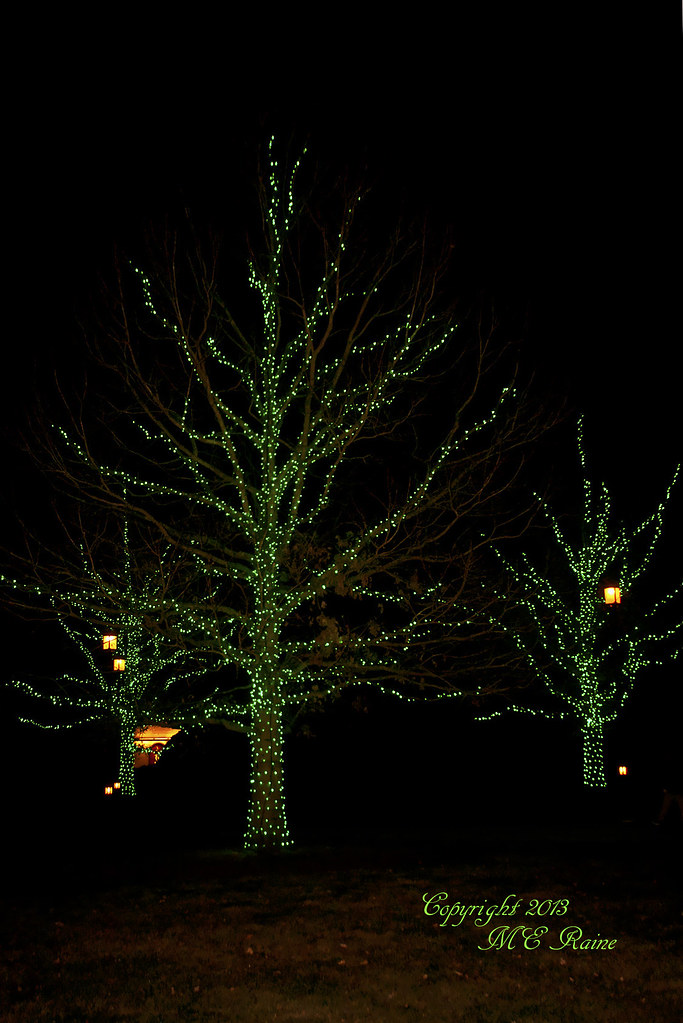 Christmas 2013 Festivities Tree Lights Along Walkway By E Flickr