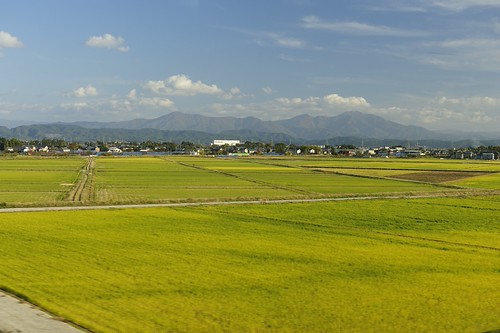 Japan12_2228 by wallacefsk, View from Joetsu Shinkansen (上越新幹線) near Niigata (新潟),
Japanjapan 日本 niigata chubu 新潟