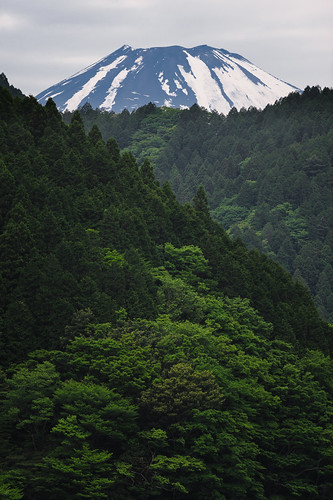 snow mountains green nature japan forest fuji hakone mtfuji 2013 kanagawaprefecture d700 afnikkor300mmf4ed ashigarashimodistrict