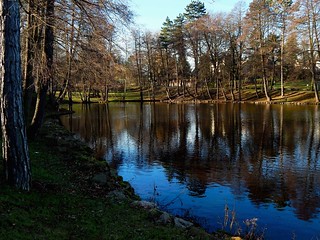 Afternoon at the ponds 2 // Nachmittags an den Teichen (Explore)