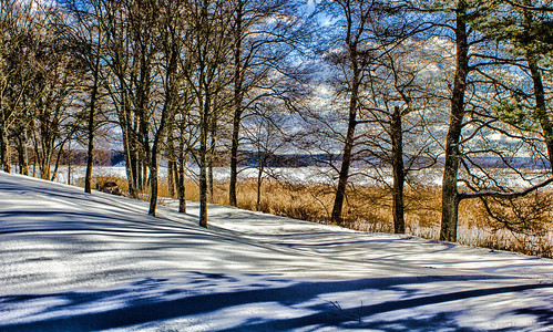 winter nature snow trees shore sea ice shadows white light sky blue marjaniemi sauvo suomi finland landscape canonef2880mmf3556ivusm