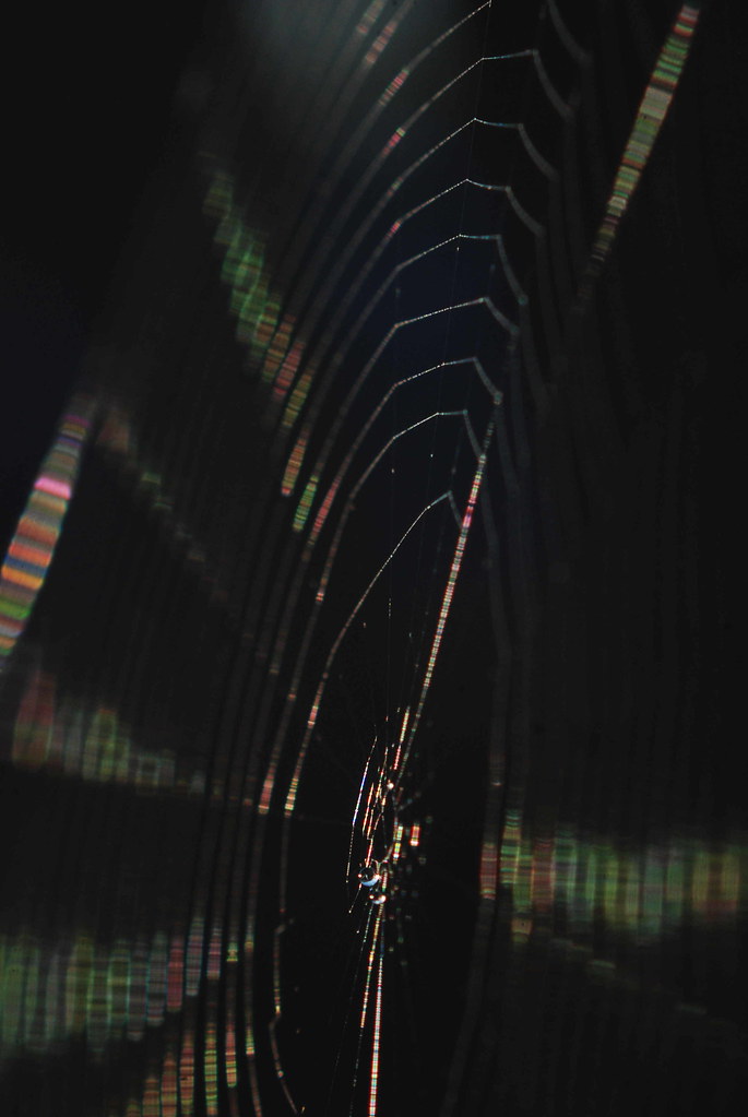 [Image: 9256415123_480e028f87_b.jpg]