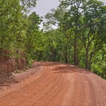 Cycling the dirt roads of the Fouta Djalon