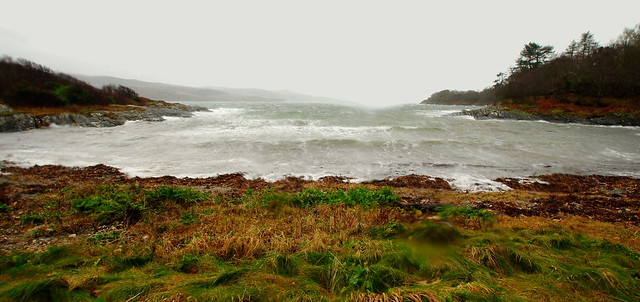 Wet and Windy Ya Beauty Ellary Bay Knapdale