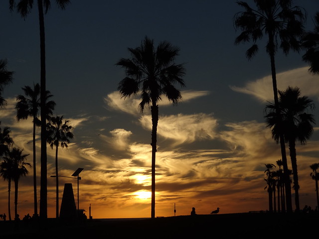 VENICE BEACH CALIFORNIA JAN 6, 2014
