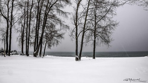 zuiko winter westbeach ontario lakeontario bowmanville olympus olym1240mmf28 olym714mmf28wideangle trees snow landscapeseascape creek em1 2017