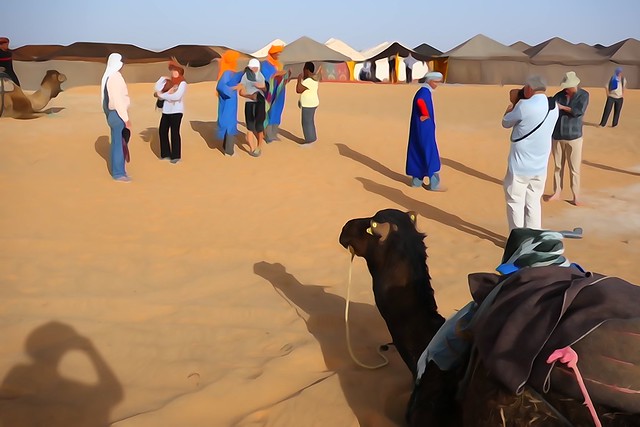 Preparing for a camel trip in Morocco