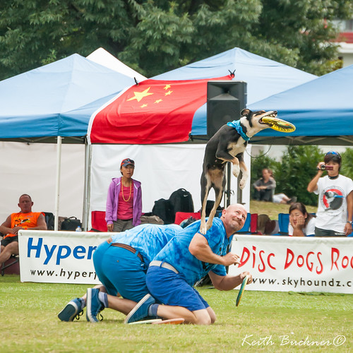 Disk Dogs-72 | by Keith Buckner