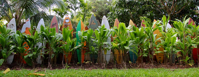 Maui surfboard fence