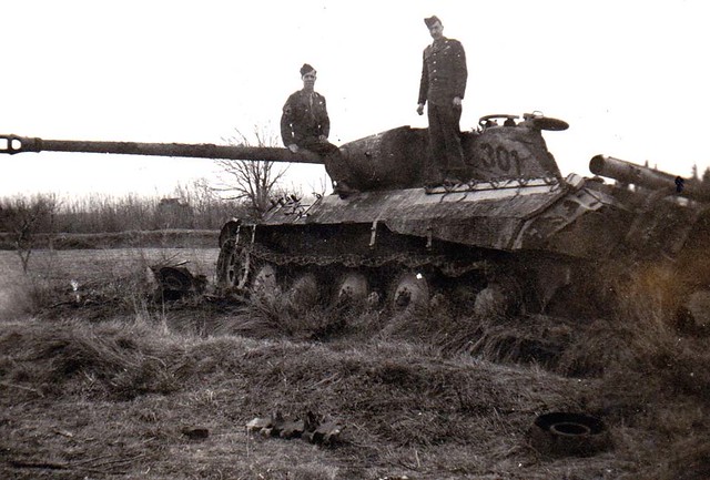 Wrecked Panther