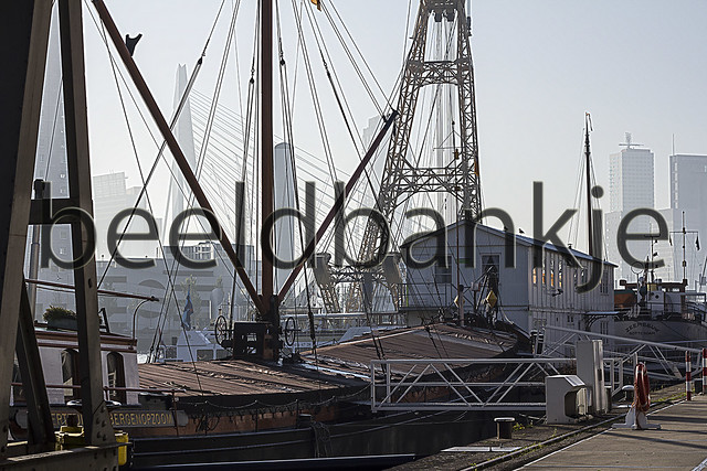 Rotterdam  Harbour