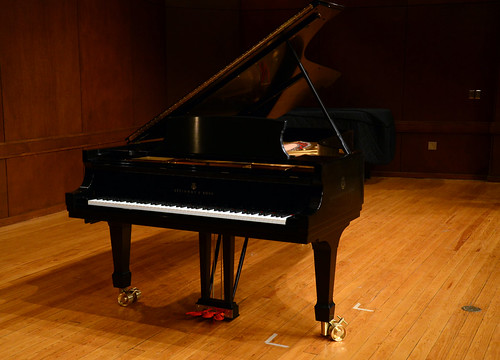 Steinway Piano_Piano in Wolfe RH_0678