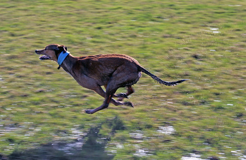 Speed | by wit