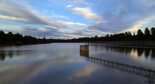 kaibabnationalforest forest lake kaibablake trees water williamsdistrict williams arizona usa