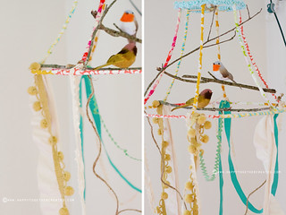 lampshade bird cage | by ohsohappytogether