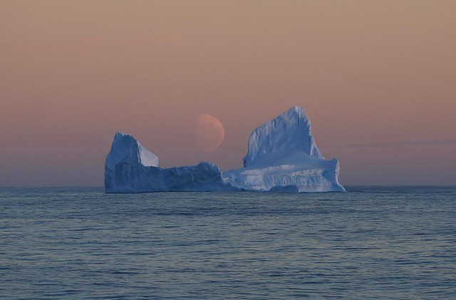 Iceberg Rafting on a Serene Southern Ocean Evening and Pale Moon Rising Antarctic Circle Ross Sea Zone Antarctica (Explored)