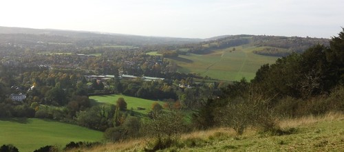 View from Box Hill of Dorking, and part of Denbies Vineyard