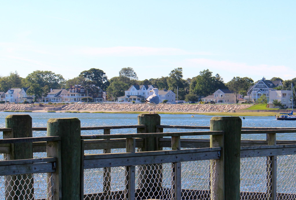 Gulf Beach