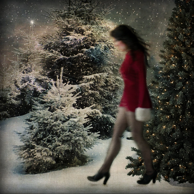 ~  inhale deeply and fill your soul with wintry night...”   John Geddes
