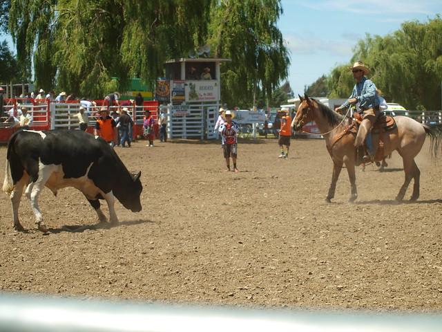 Waimate Rodeo 2013