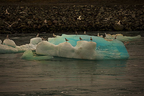 travel blue ice nature birds night iceland rivers jokulsarlon jökulsárlón lagoons glacierlagoon img7404 canoneos5dmarkii vatnajokullnationalpark vatnajökullnationalpark canonef70200mm128lisiiusm sigmundurandresson