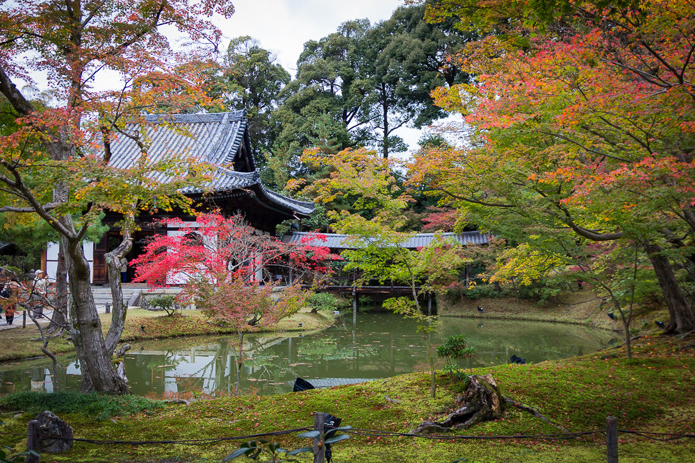 Kodaiji Temple during autumn, Kyoto