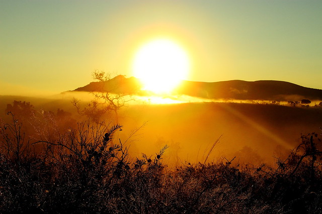 sunrise - hluhluwe game reserve (south africa)