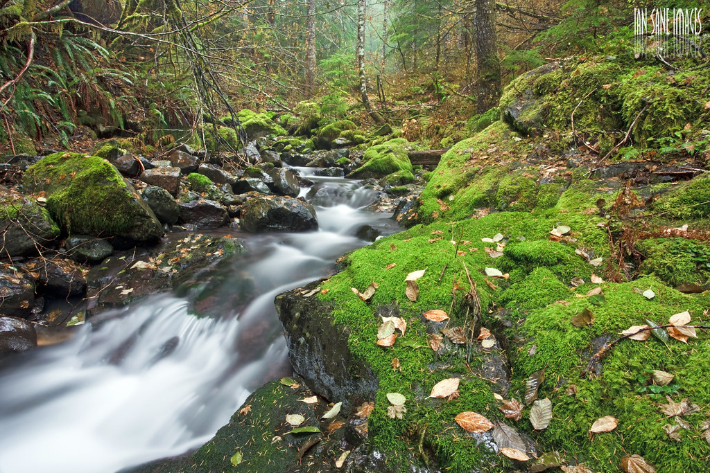 French Creek Trail #3349