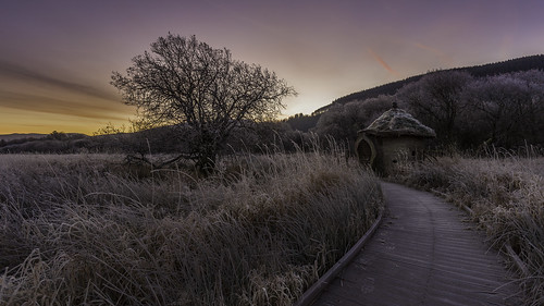 uk winter england sun lake cold west tree grass sunrise silver reeds frost district meadow explore filter lee cumbria nd thatch celtic rise shelter grad keswick bassenthwaite dubwath yahoo:yourpictures=bestof2013