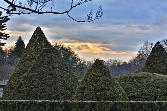 Sunset over the topiary - Longwood Gardens