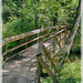 Trail-Bridge-_-N.E