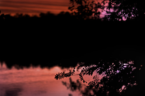 sunset color reflection fall water night leaf dof bokeh pov konicahexanon sonynex