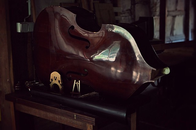 Abglanz eines toten Cellos.