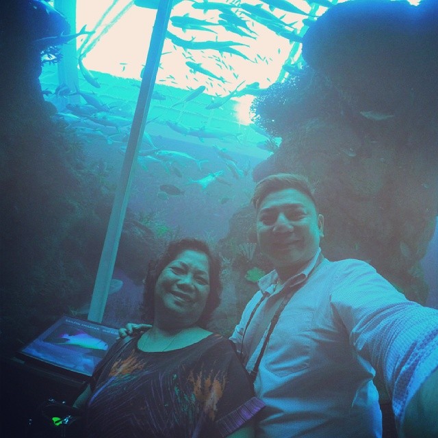 Now.. exploring the underwater world... tanawn ta ni beh basinag abot mi ni anne curtis!   #SEAadventure #resortsworld #Sentosa #Singapore #Summer2014 #SummerniXave2014 #XaveeinSG2014 #SG #Vacation #travel #FamilyTime