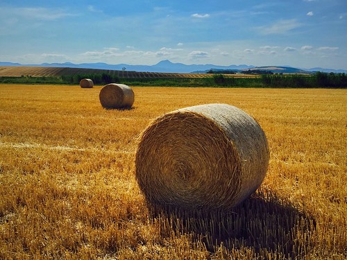 summer harvest auvergne enjoyingtheview chainedespuys landscapephotography landscapecollection iphoneography myauvergne holidaypov